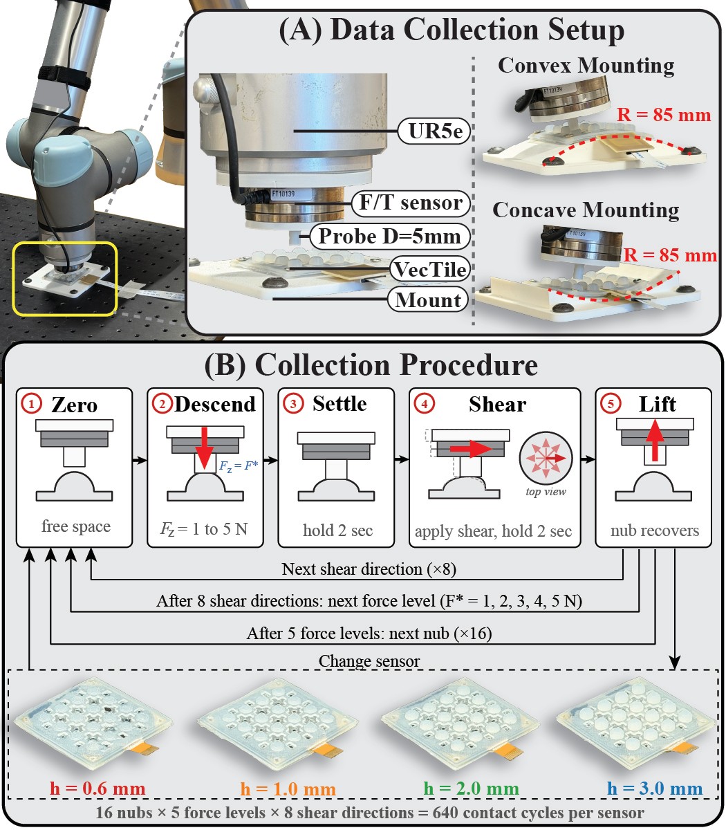 Data collection setup with UR5e, F/T sensor, 5 mm probe and VecTile on flat, convex and concave mounts, and the five-step collection procedure repeated for 8 shear directions, 5 force levels and 16 nubs across four nub heights.